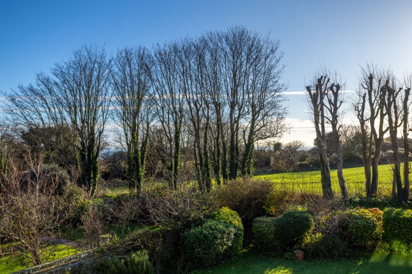 Images for Walmer, Deal