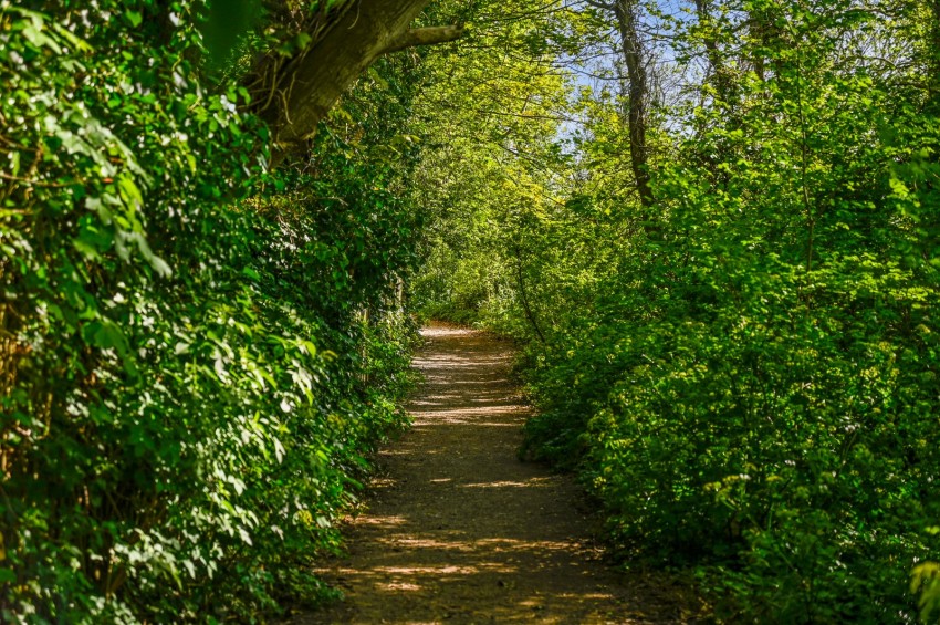 Images for Walmer, Deal