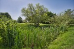 Images for Finglesham, Deal, Kent