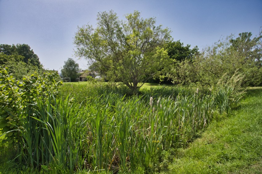 Images for Finglesham, Deal, Kent